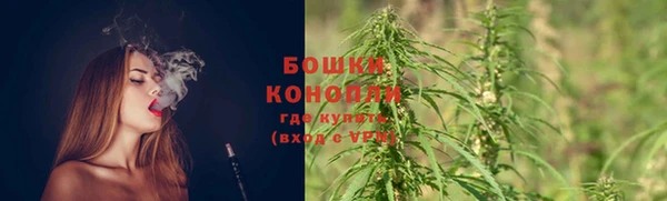 apvp Арсеньев