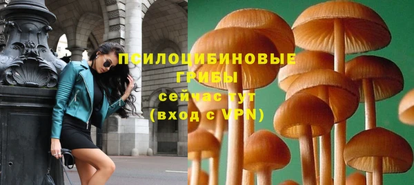 apvp Арсеньев