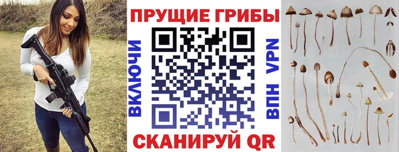 Псилоцибиновые грибы мицелий  kraken рабочий сайт  Новодвинск 